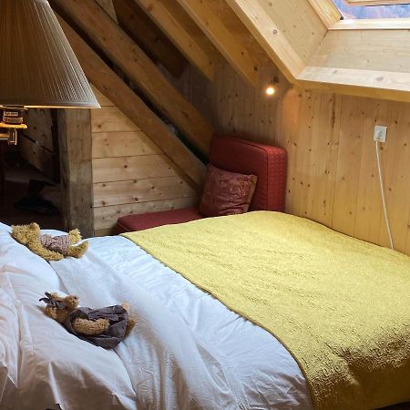 Le Bel Appartement De Montagne Bellevaux Eksteriør bilde
