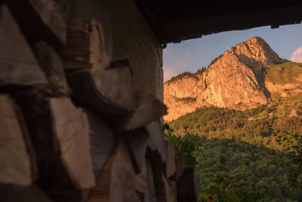 Le Bel Appartement De Montagne Bellevaux Eksteriør bilde