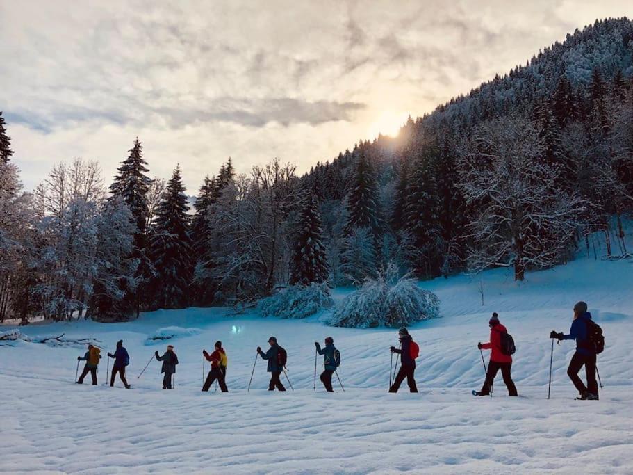 Le Bel Appartement De Montagne Bellevaux Eksteriør bilde