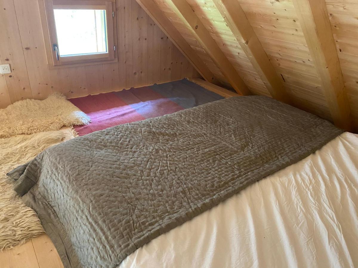 Le Bel Appartement De Montagne Bellevaux Eksteriør bilde